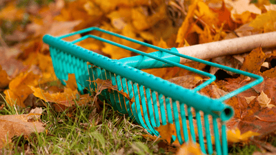 Prepare your Garden for Autumn