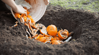 Composting Made Easy: Turning Leaves & Debris into Nutrient-rich Soil Amendments