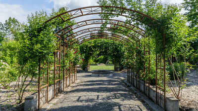 Incorporating Vertical Elements: Trellises and Arbors in Garden Bed Designs