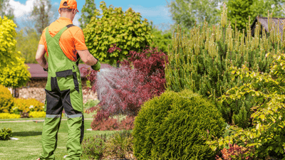 Useful Pest Control Methods for Your Garden in the Summer