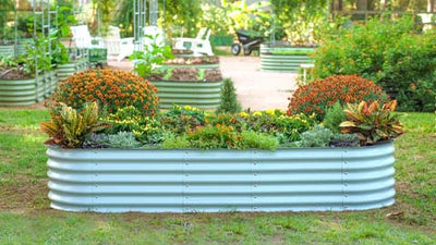 Dive Into Vego Garden’s New Colorful World: Unveiling Exciting Garden Bed Shades For A Vibrant Garden