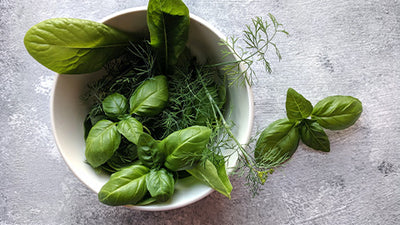 Tips On How To Grow A Kitchen Herb Garden