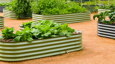 The 9 Best Raised Garden Beds of 2024