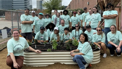 Vego Garden Giving Back Program Update - September 2024