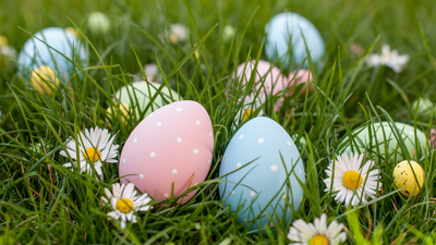 Best Easter Plants for Celebrating and Decorating