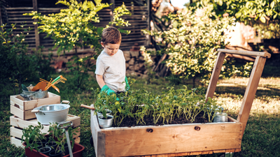 Garden Activities to Keep Your Kids Busy This Summer