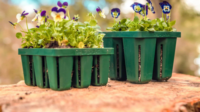 3 Awesome Uses for A Garden Sifter