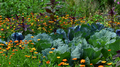 10 Ways to Style Your Vegetable Garden