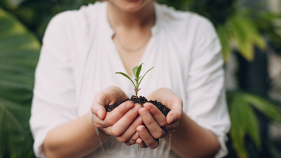 How Gardening Can Improve Your Health