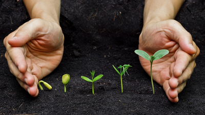 Plants that Grow Well in the Shade