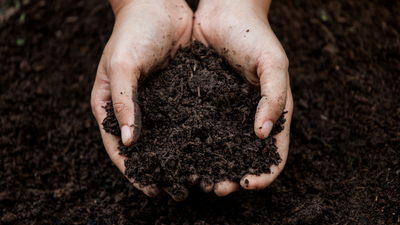 What Should You Put at the Bottom of a Raised Garden Bed