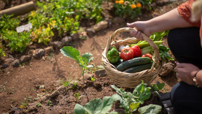 October Gardening Chores