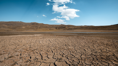 Tips for Caring for Your Plants in a Dry Environment