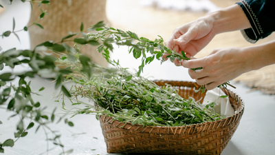 Ways to Preserve your Herbs to Last Longer