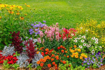 Hues You Can Use: Exploring Color Theory in the Garden