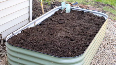 I’m Switching to Raised Beds with Vego Garden – Set Up & First Impressions