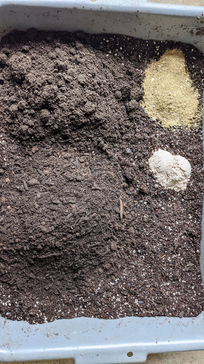 Transform Your Garden with DIY Gardening Soil