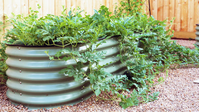 Are Vego Garden Beds A Good Investment? Here's What You Can Save!