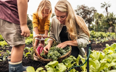 Low Maintenance Gardening