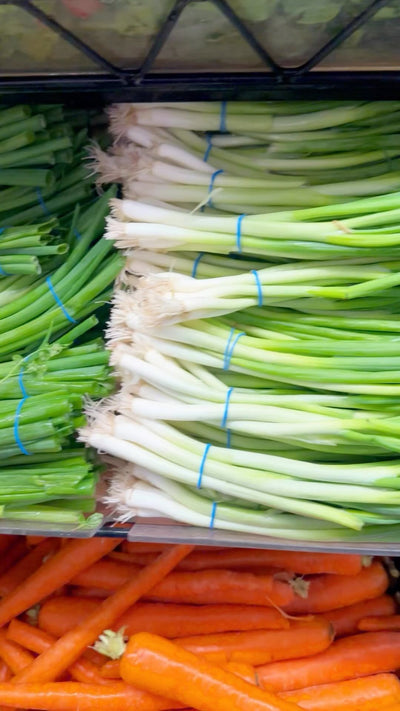 Grow Green Onions