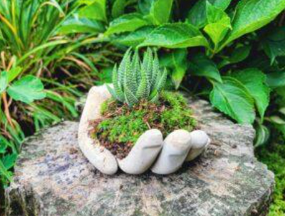 Display Your Favorite Small Plant in a "Hand Made" Planter