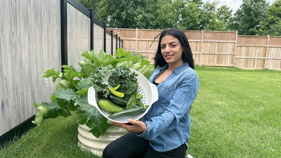 Garden tour of our new house in Canada 🇨🇦 | my secret gardening tips