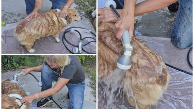 Give a DOG a Bath!!! #vegowateringproducts