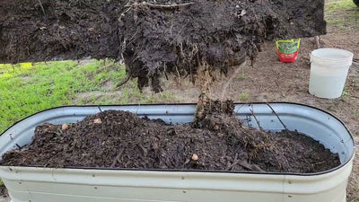 How To FILL a VEGO Garden Raised Bed ‪@vego_garden‬