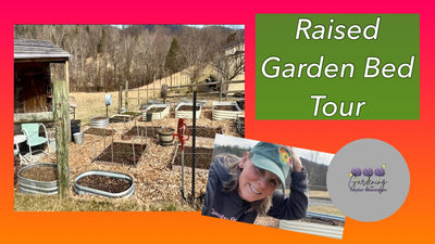 Raised Garden Bed Set Up