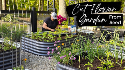 A Cut Flower Garden From Seed! Planted Up My New Vego Raised Beds. Trimming A Tree with a Hand Saw