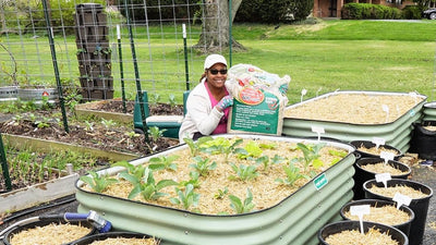 Raised Bed & Container Mulching