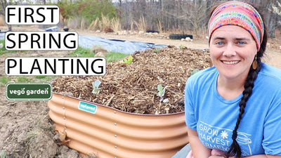 Spring Planting Homestead VLOG With Vego Garden Raised Bed | Fermented Homestead