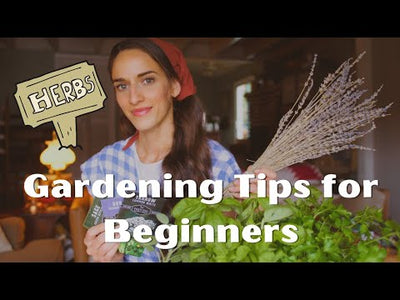 Make Your Garden 🌱 Dreams Come True | Gardening for Beginners🌻