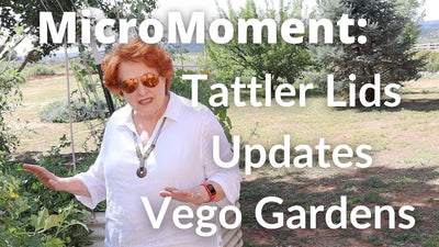 MicroMoment: Tattler Lids, Updates, Vego Gardens