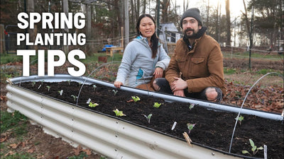 TIPS & TRICKS for Spring Planting to prevent pests & increase production (in our new VegoGarden bed)