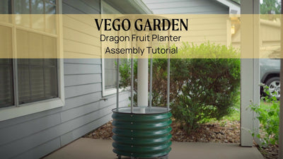 Dragon Fruit Planter Assembly Tutorial