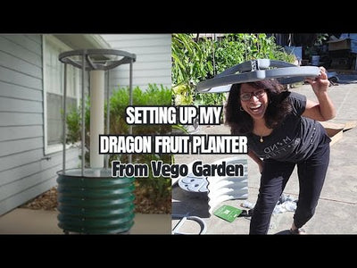 Ultimate Dragon Fruit Upgrade: Rolling, Self-watering Planter from ‪@vego_garden‬