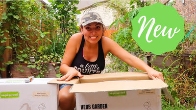 NEW Metal Raised Beds | Vego Garden