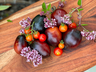 Captivating Cultivars: Beyond Red Kitchen Tomatoes