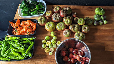 3 Ways to Preserve Foods from Your Summer Garden