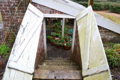 Growing Underground: Walipini Greenhouses