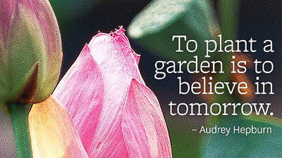 Inspirational Garden Quotes