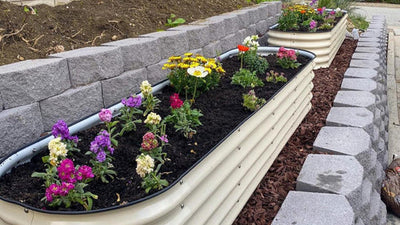 Seven Beginner Raised Bed Gardening Mistakes to Avoid