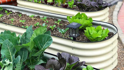 The Best Raised Garden Bed Options For The Backyard