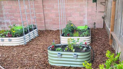 Transform Barren Spaces into Lush Edible Foodscapes (And Why We Chose Metal Raised Garden Beds)