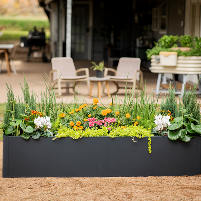 Want To Be More Modern in 2024? We Have the Raised Bed for You