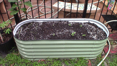 Vego Modular Raised Metal Garden Beds --Should you buy them?