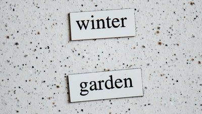 Preparing Your Winter Garden for Spring