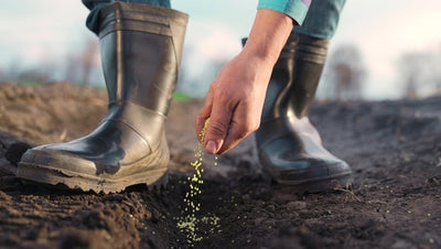 Seasonal Crop Rotation