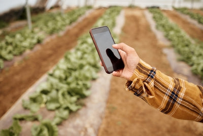 For Better Gardens and Happier Gardening, Beware of These 8 Social Media Trends